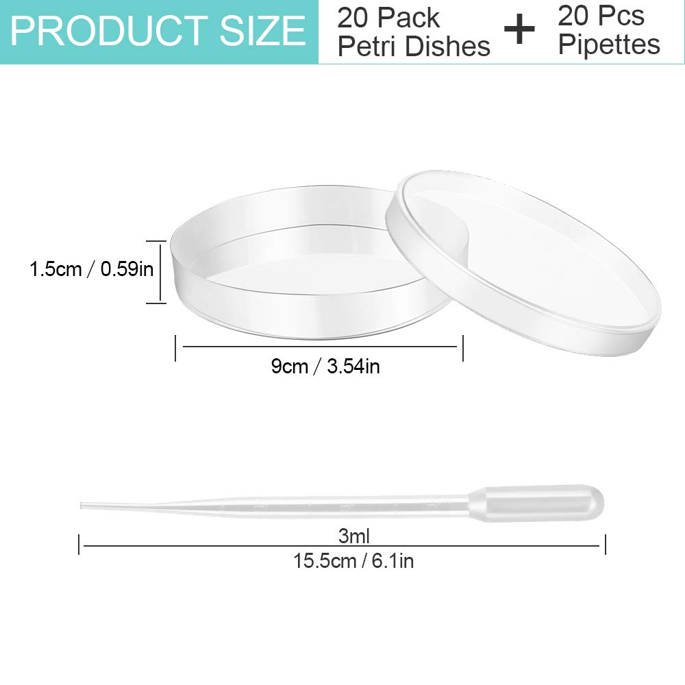 20 Pz Piastra di Petri Capsule Petri Plastica Trasparenti Piastre Coltura Batterica 90 mmx15 mm con 20 PCS Pipette di Trasferimento in Plastica 3ml per Laboratorio Esperimento Biologia