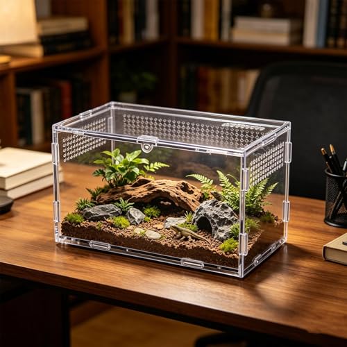 Maison pour araignées sauteuses transparente pour sécuriser l'élevage - 4