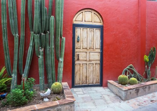 Fond photographique mexicain 3x2m avec cactus et porte rouge pour fiesta