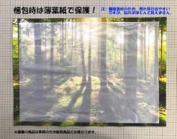 横山大観 還暦祝画帖 「野芹一束」ぎょうせい 専用額付き ぶどう