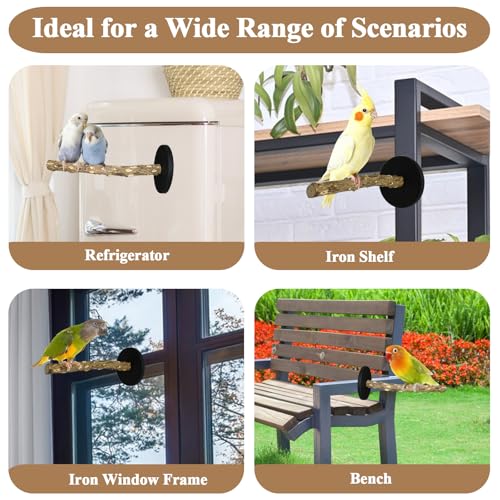 Image of Bird Stand Perch Toy, Double Layer Spinning Parakeet Toys Exercise Wheel Cockatiel Toy for Cages Wooden Perchs for Small & Medium Birds Cage Accessories for Parakeets Lovebirds Conures (Black)