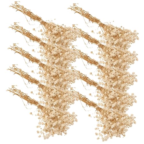 Ramos de Flores Secas Babysbreath Gypsophila Natural