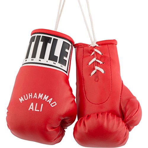 muhammad ali title boxing gloves