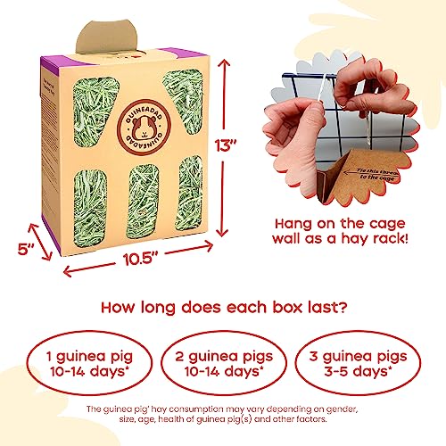 GuineaDad Orchard Hay Box – 3 Pack Guinea Pig Food – Cage-Mounted Feeding System – Orchard Hay for Guinea Pigs, Rabbits & Small Animals – 100% Recyclable & Biodegradable - Image 3