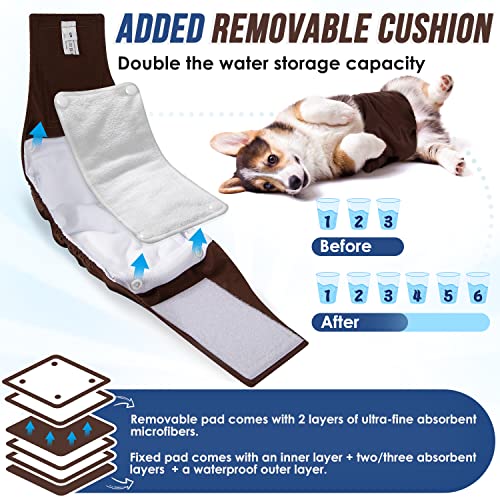 Slowton Washable Dog Diapers Male - 20% Wider & Highly Absorbent Dog Belly Bands With Removable Pads - 3 Pack Soft Reuseable Male Dog Wraps With Leak Proof Fit (Grey, Blue, Brown, Medium) #TOP1