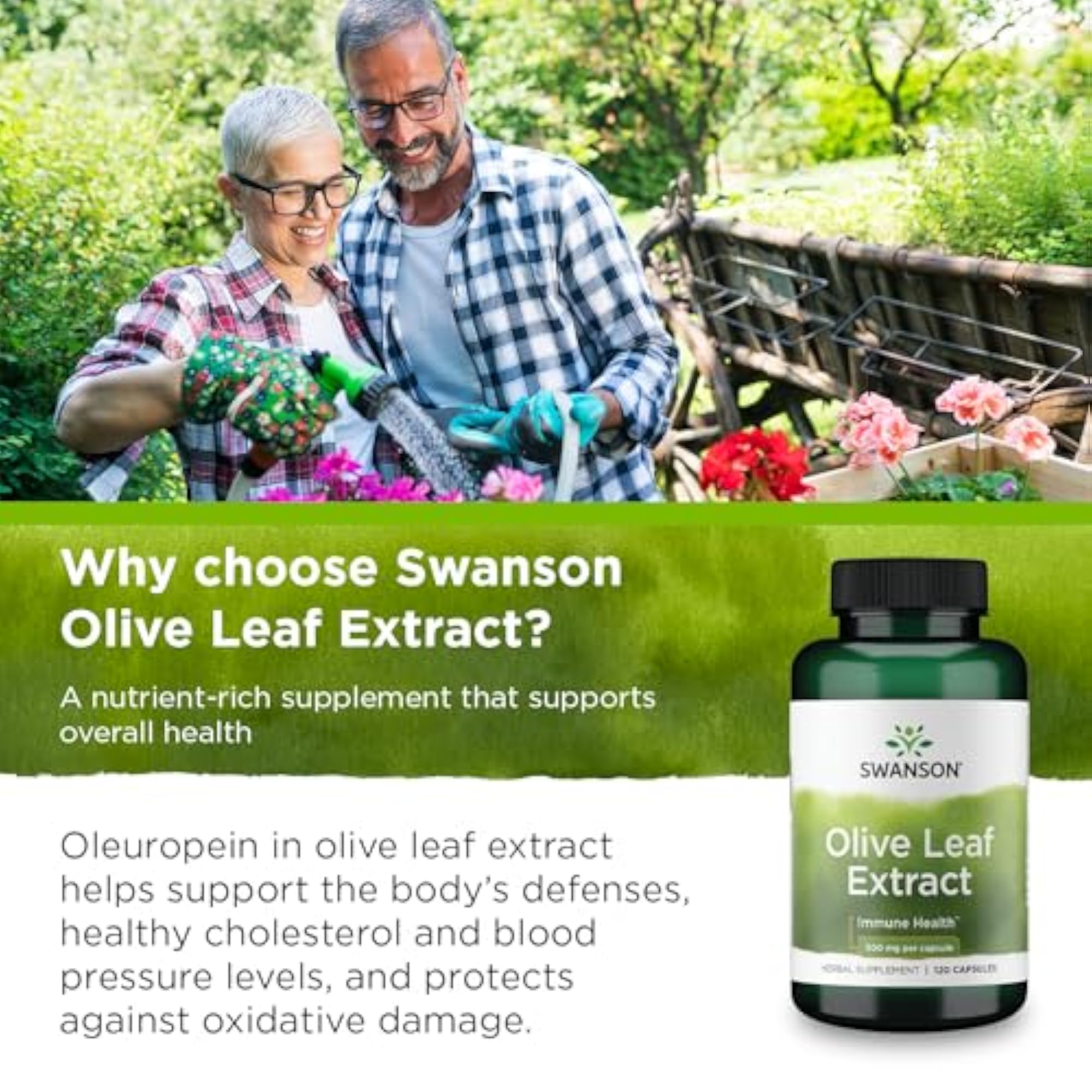 Olive Leaf Extract 500 mg, 120 Capsules