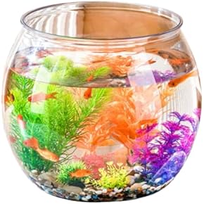 金魚鉢 - Amazon.co.jp 金魚鉢 - Amazon.co.jp