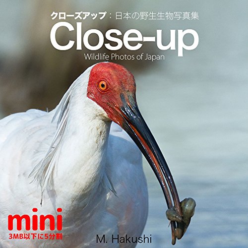 Close-up mini#4: The breakthrough creatures of Japan in Close-up photo Photos of wildlife of Japan (Japanese Edition)