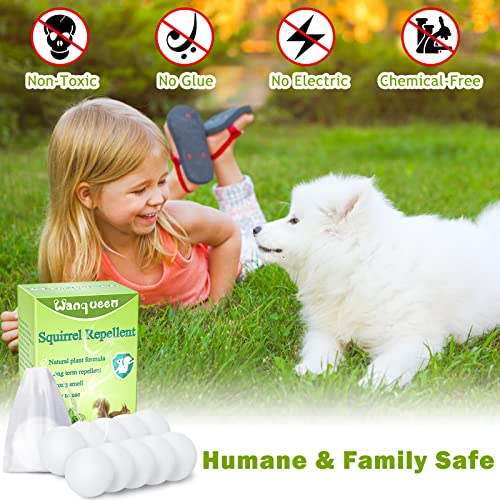 Wanqueen 10 Pack Squirrel Repellent thumb #3