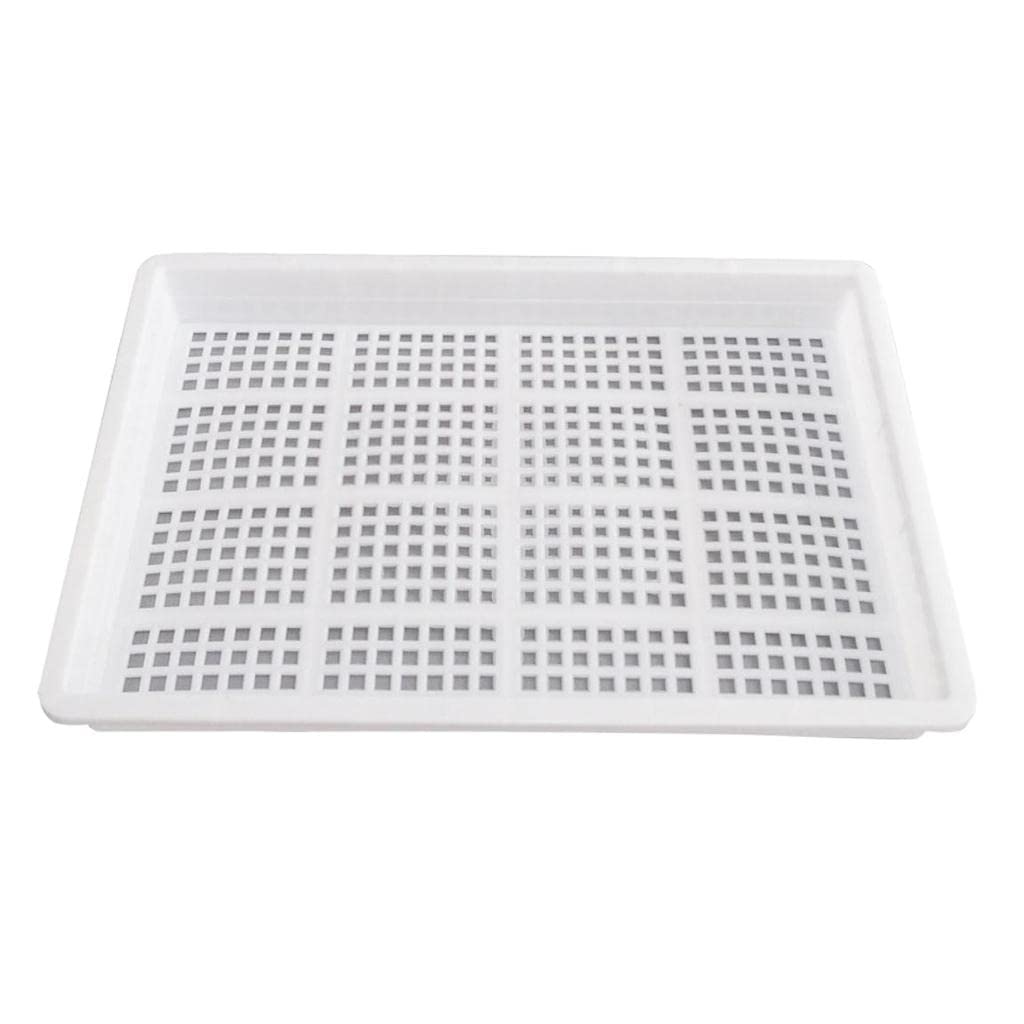 Food Grade PVC Grow Seedlings Tray Seed Starting Plant Propagation Tray Yard, Garden & Outdoor Living | Gardening Supplies | Plant Care, Soil & Accessories | Baskets, Pots & Window Boxes-image-42