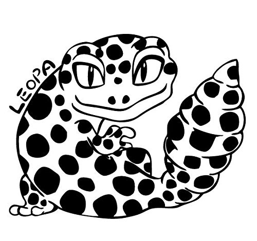 qEgJQhLXebJ[/Ip/LEOPA/JbeBOXebJ[hEԁEoCN LOP-OB