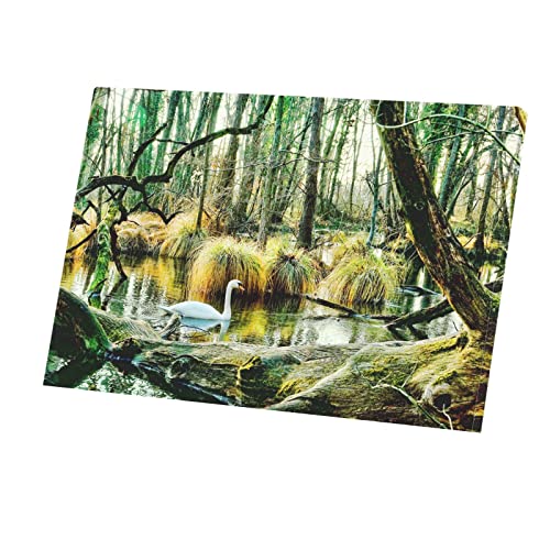 Toile Imprimée Cygne et Mangrove pour une Déco de Salon Nature Sauvage