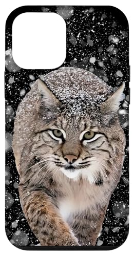 Un bellissimo gatto bobcat in pieno cappotto invernale cammina attraverso la neve che cade mentre è a caccia di prede in questo disegno grafico.