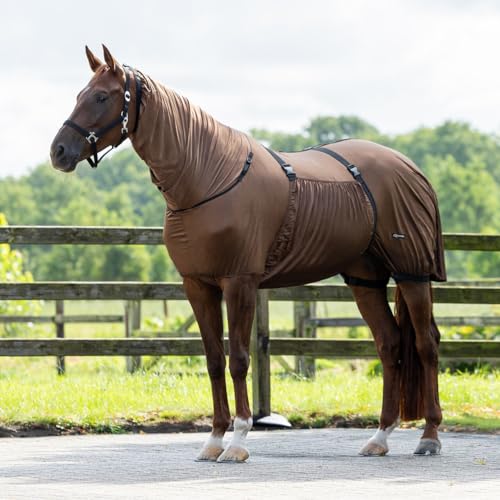 Ekzemdecke (Braun, 85)