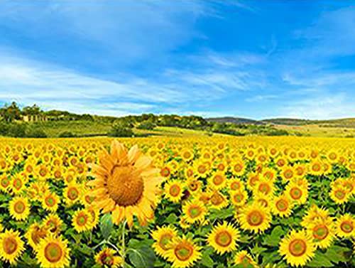 Peinture au diamant 5D mer de tournesol broderie strass carrés 30x40 cm