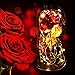 Beauty and The Beast Rose, Enchanted Galaxy Rose in Glass Dome, Thanksgiving Day Graduation Birthday Gifts, Lights and Rose Flowers for Her, 8.66