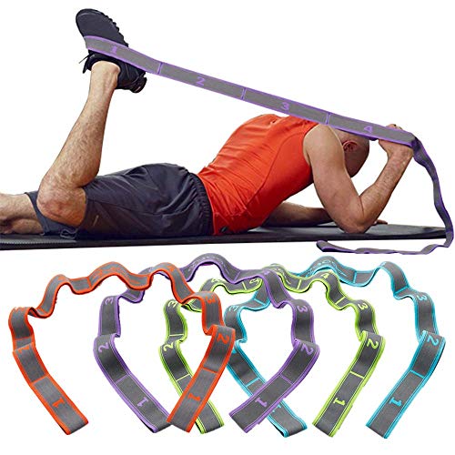 PowerLife Exercise High Elastic Resistant Band 11 Loops Yoga Stretching Strap for Physical Therapy Yoga Pilates Fitness Flexibility, Strength, Balance SkyBlue