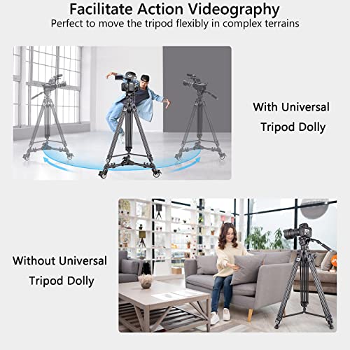 Professional Heavy Duty Tripod for DSLR Cameras and Video Camcorders