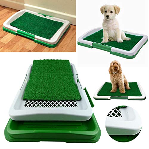Greenacres césped Artificial, Puppi Loo - Sistema de Entrenamiento para Perros de Interior/Exterior