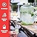 1 Gallon Glass Drink Dispensers for Parties, Large Beverage and Water Dispenser, Lemonade Dispenser, Sun Tea Glass Jar for Outside, With a Fruit Infuser, One Stainless Steel Spigot Included