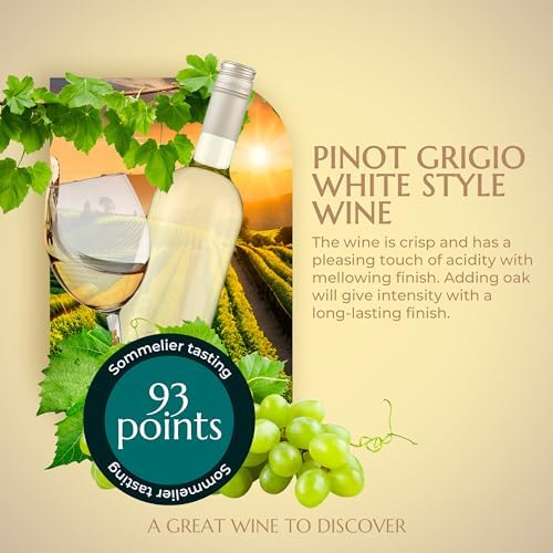 BestwineAmerica Miracle Grape Extraction – 0.5 U.S. gal Kit Makes 6 U.S. gal of Wine - (30x750ml) (White style Pinot Grigio)