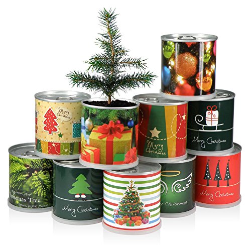 MacFlowers Weihnachtsbaum in der Dose Merry Christmas Grün