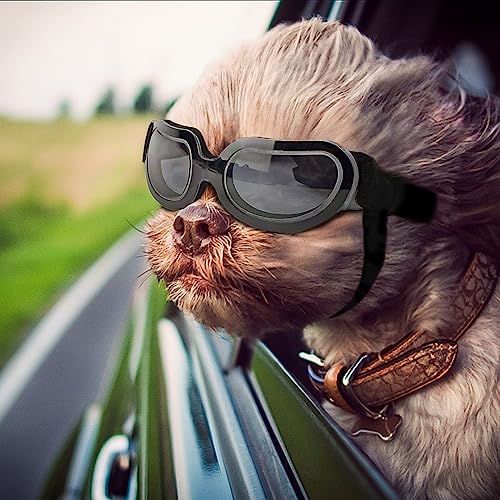 Namsan Dog Sunglasses Small Breed, UV Protection, Anti-Fog Dog Goggles for Small Dogs, Summer Driving Dog Eye Protection, Winter Snow Eyewear, Easy Put-on/Adjustable, Bright Black