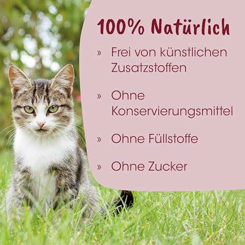 cdVet Naturprodukte feliTATZ Bronchial Liquid Ergänzungsfuttermittel für Katzen Atemwege 50ml