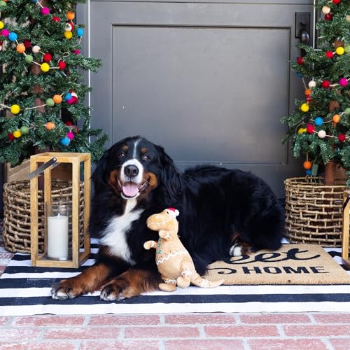 Fringe-Studio-Pet-Toy-Cookie-Saurus-Rex-Plush-Dog-Toy-PetShop-Collection-314078