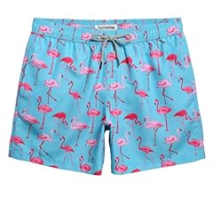 Sky-blue Flamingo Dream