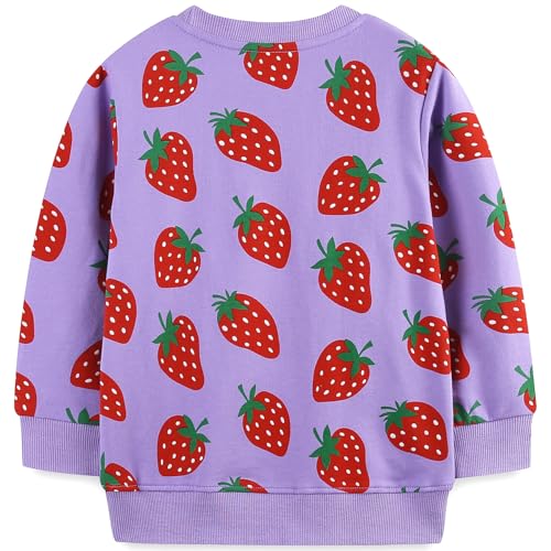 Image of Bumeex Girls Cotton Crewneck Cute Sweatshirts The Hedgehog and The Fox Pink 2-7T