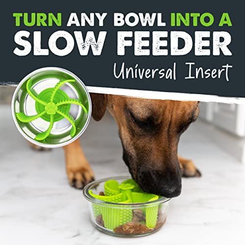 Mighty Paw Slow Feeder Dog Bowls (Insert) | Dog Slow Feeder Bowl. Dog Bowl Slow Feeder. Puppy Slow Feeder Bowl. Slow Feeder Dog Bowls Large Breed (Medium And Small). Maze + Puzzle Slow Dog Feeder. #TOP6