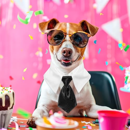 Oruola 2 Stück Formelle Haustier Fliege,Formelle Fliege für Hunde,Verstellbare Hundeschleifen für Welpen & Kätzchen,Hochzeiten, Geburtstage, Partys, Ostern & Jubiläen,Rot