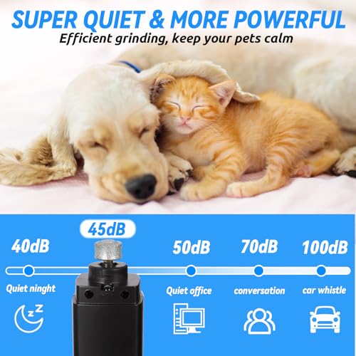 BUOAZR Krallenschleifer für Hunde 4-Gang mit LED-Licht,Elektrischer Hundekrallenschneider, Superleise, USB Wiederaufladbar Hundekrallenfeile für Große, Mittelgroße und Kleine Hunde und Katzen(Schwarz)