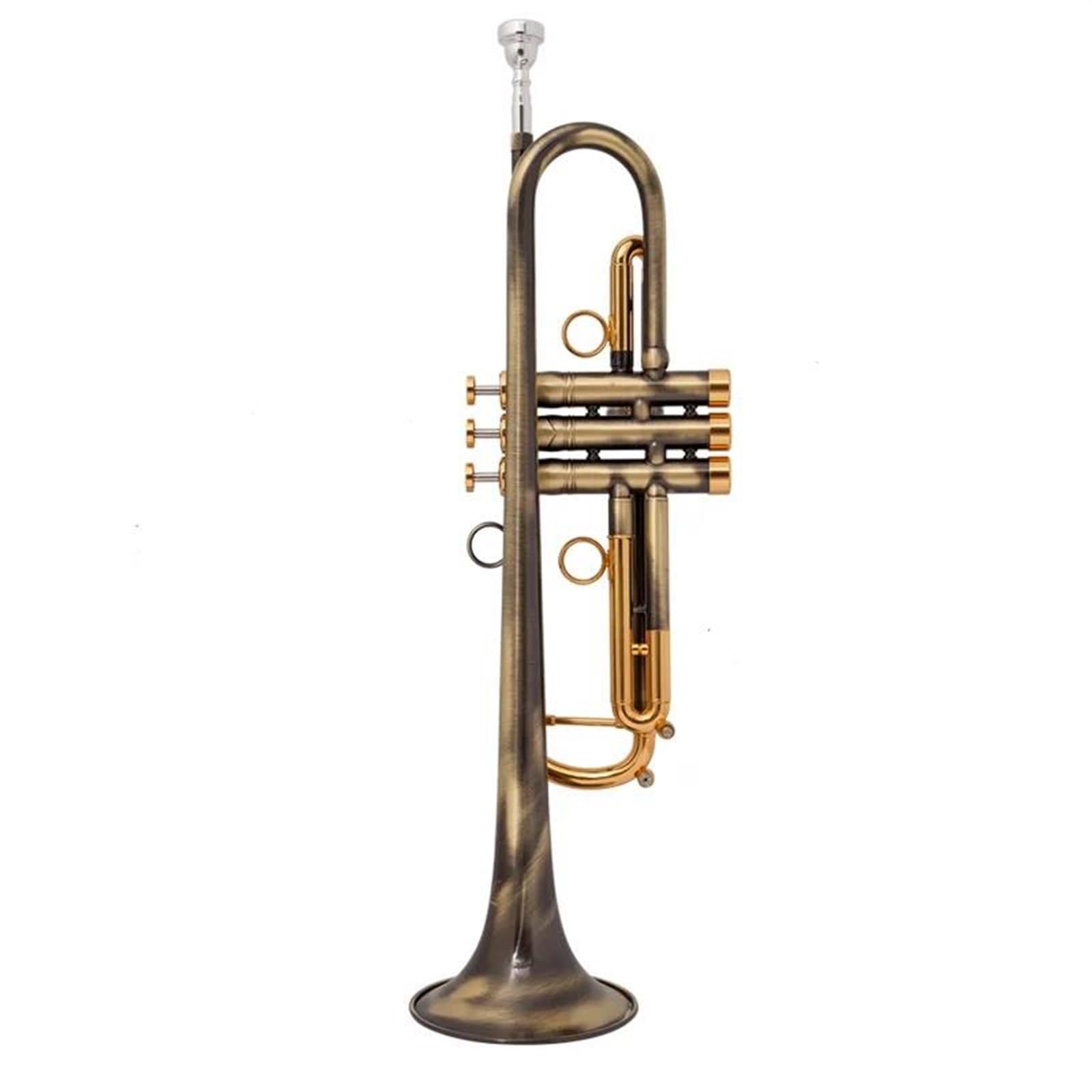 Standardowa Trąbka Instrument Instrumenty Muzyczne Mosiężna Trąbka Bb Powierzchnia Miedziana Mała Trąbka Bb Początkujący Grają I Ćwiczą
