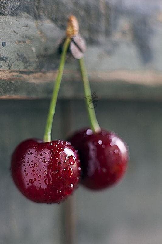 Cherry fruit seeds | organic fruit seeds | Maroon sweet cherry seed For Your Garden and home planting Pack of 5 seeds (B0C3XTSR31) Amazon Price History, Amazon Price Tracker