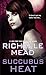 Succubus Heat (Georgina Kincaid)