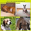 YEEGO-DIRECT-Ball-Launcher-for-Dogs-Automatic-Dog-Ball-Launcher-with-5-Tennis-Ball-Interactive-Dog-Toys-Pet-Ball-Indoor-Thrower-Machine Interactive Dog Toys with 5 Tennis Balls