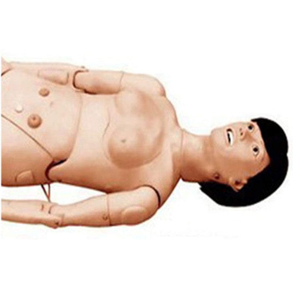 Amazon.co.jp: 人体模型 医療 看護実習モデル人形 医療 多機能