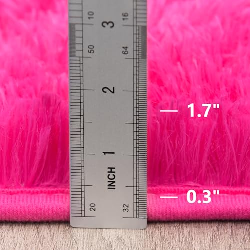 Fluffy Rug Non Slip 5x7 Feet, Hot Pink Living Room Rug Modern, Super Soft Shag Plush Large Carpets for Bedroom
