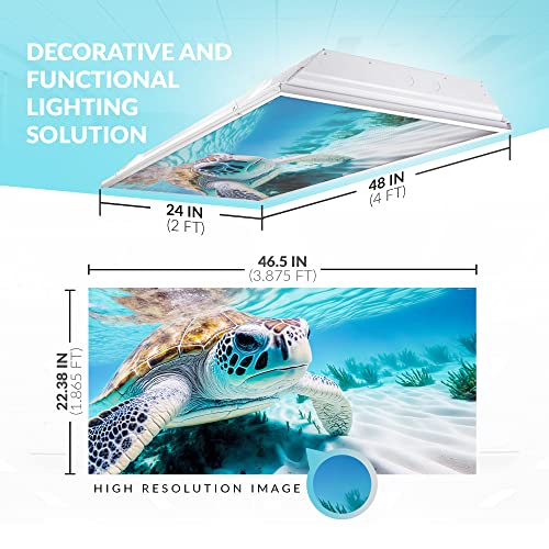 Image of Fluorescent Light Cover for Classroom Ceiling Lights - Premium Backlit Film Insert 2x4 (22.38 inchx46.5 inch) Florescent Fixture (Pack of 1) School, Office, Sensory, Improve Focus, Eliminate Headache - Turtle