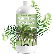 Liquid Palm Tree Fertilizer by Perfect Plants | Feed All Indoor or Outdoor Palms with Nutrient Dense Food | for Species Including Windmill, Sago, Ponytail, Majesty, More | NPK 8-8-8 1 Qt