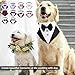 HDKUW Dog Tuxedo, Dog Wedding Bandana Collar with Bow Tie, Adjustable Pet Tux Formal Dogs Costumes for Small Medium Large Dogs Purple S