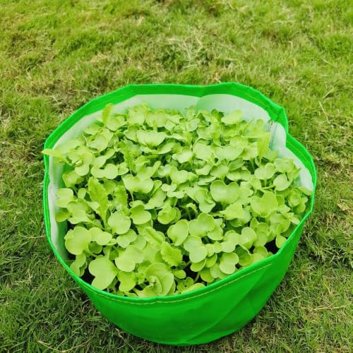 Image of Premium HDPE UV Stabilised GrowBag Size 12x6 Inch Pack of 3 | 260 GSM Round Shaped Green Colour | Suitable for Microgreens, Spinach, Coriander and Other Leafy Greens