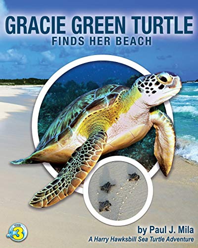 The Best Sea Turtle Books for Toddlers and Preschoolers