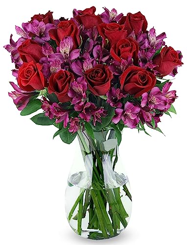 Benchmark Bouquets - Stunning Roses &amp; Alstroemeria (Glass Vase Included) - Fresh Flowers for Delivery - Gift for Graduation, Birthday, Anniversary, Sympathy, Get Well, Congratulations
