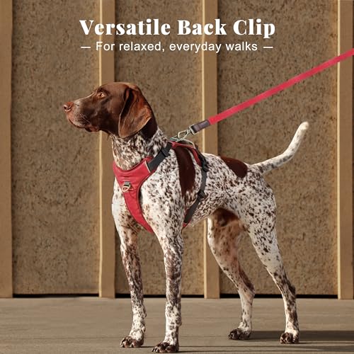 Image of Didog No Pull Dog Harness for Medium Dogs, Classic PU Leather, Red, L
