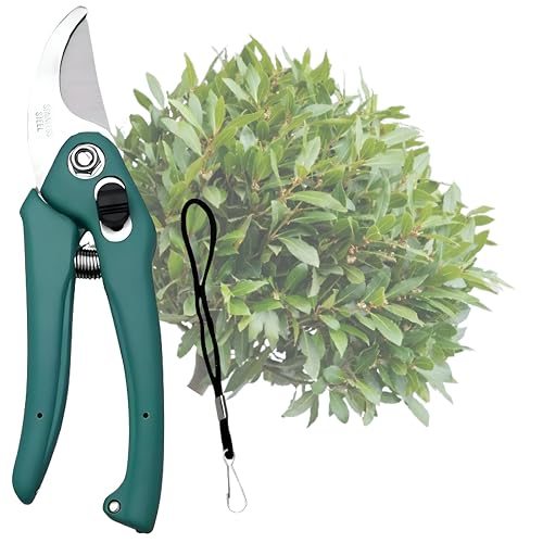 AAMEZING PRODUCTS Cutter for Garden Tools, Tree Cutter, Gardening...