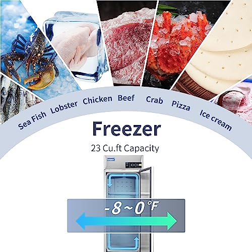 Walk in freezer cold room industrial