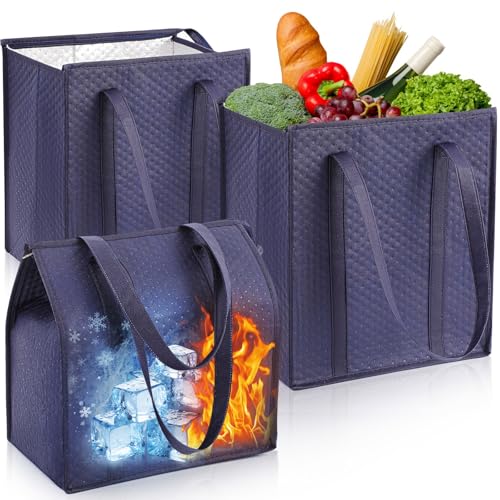 Teenyyou 3 Pcs XL-Large Insulated Bag